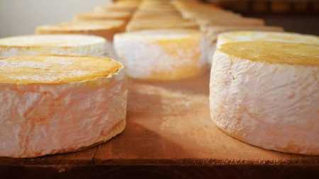 Serão avaliados o aspecto global, cor, textura, odor, aroma, consistência e sabor de cada queijo