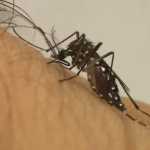 Prefeitura de Contagem amplia mutirão de limpeza de combate à dengue e chikungunya