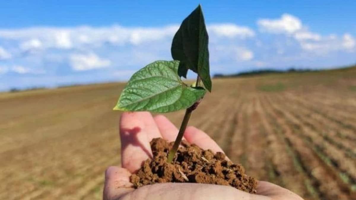 Produtor rural pode receber dinheiro por  ‘serviços ambientais’; saiba como