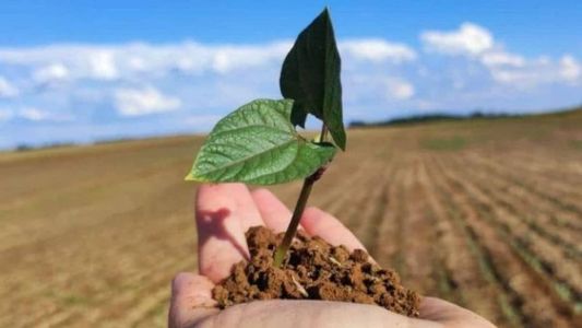 Serviços ambientais são atividades que visam preservar, recuperar ou melhorar as condições dos ecossistemas, tanto em áreas urbanas como rurais.