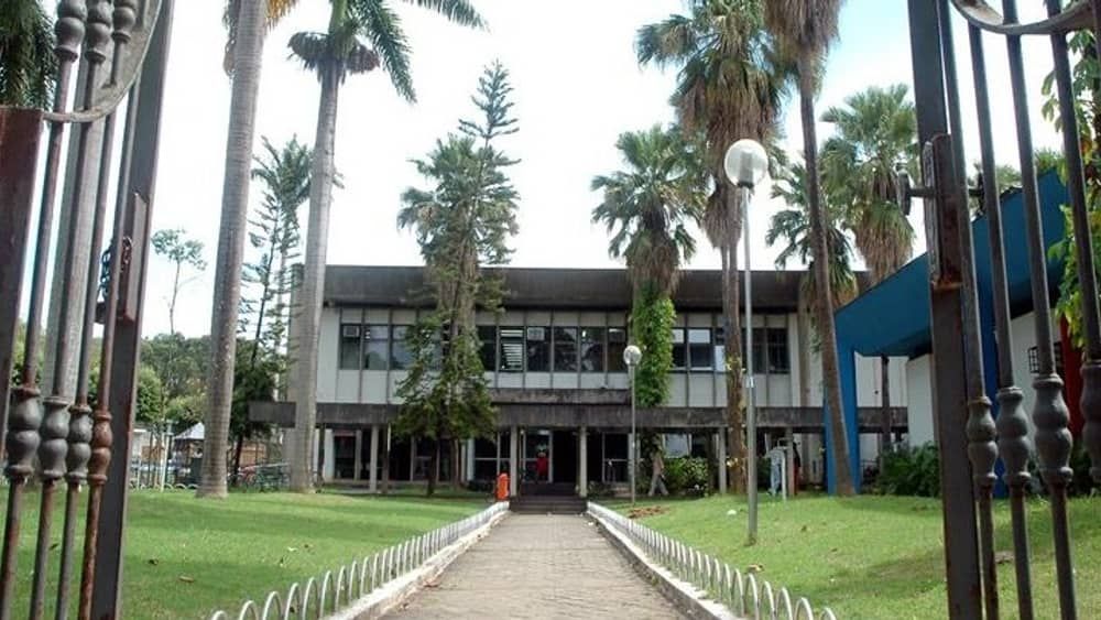 Timóteo: coleta de lixo domiciliar funcionará normalmente no feriado de Finados