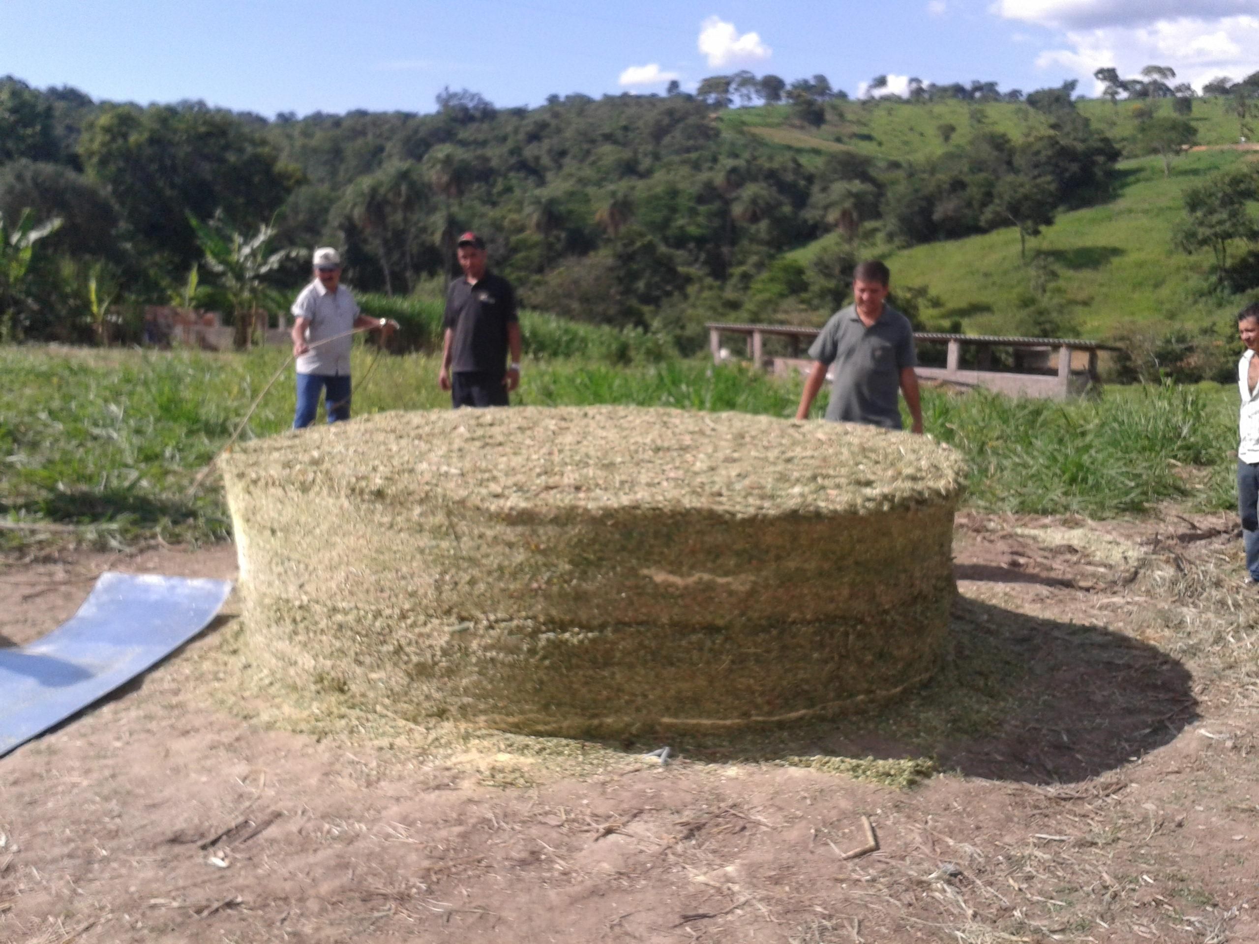 Preocupados com a seca, produtores do Norte de Minas estocam comida para o gado