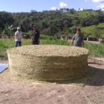 Preocupados com a seca, produtores do Norte de Minas estocam comida para o gado