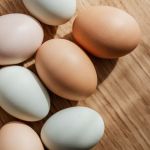 Preço do ovo encerra 1ª quinzena de julho em queda