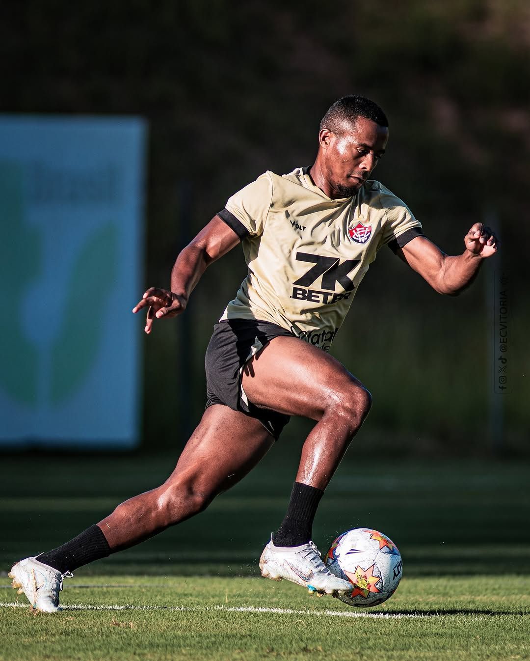 CRB x Vitória: horário e onde assistir ao vivo pela Copa do Nordeste