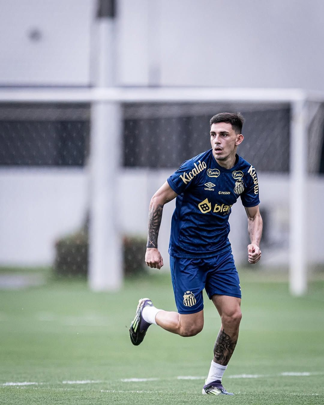 São Bernardo x Santos: horário e onde assistir ao vivo pelo Campeonato Paulista