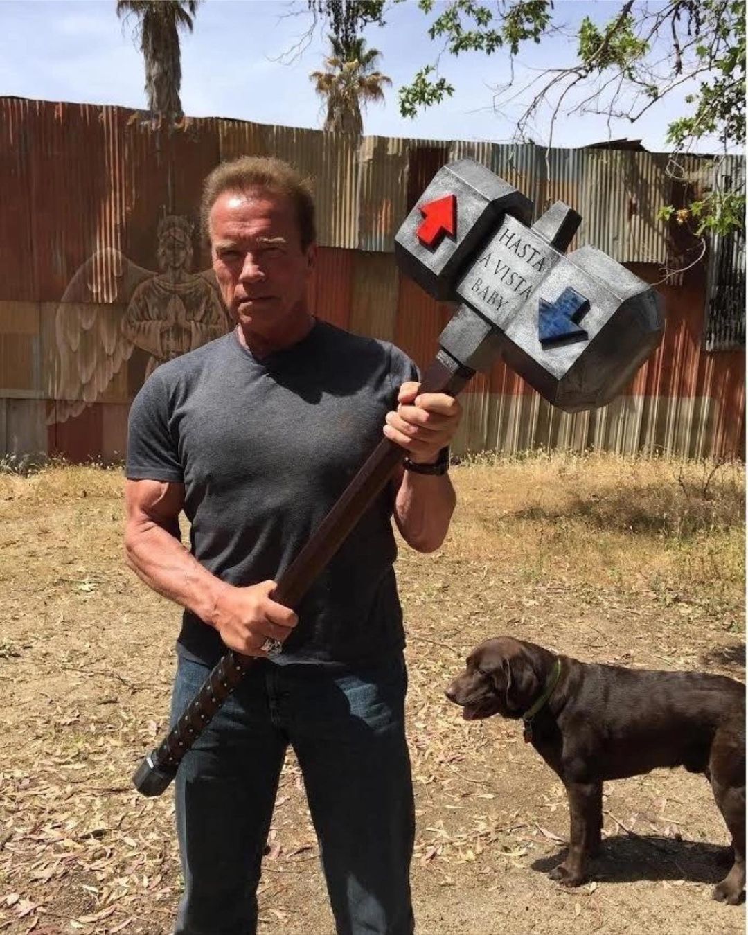 Golpe do Schwarzenegger: 'como fui tão tonta'?, questiona idosa que perdeu R$ 238 mil