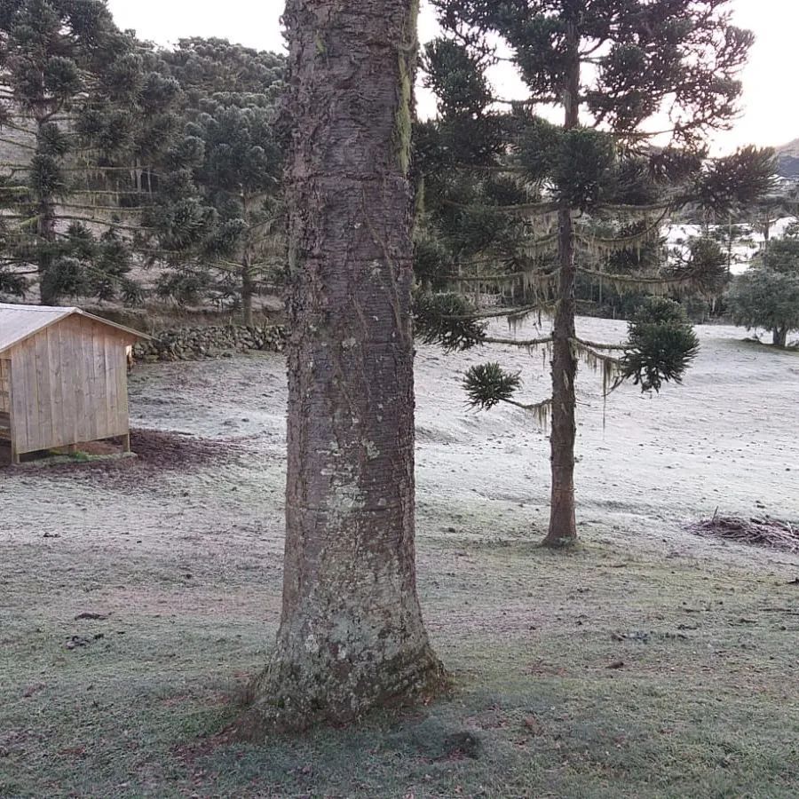 Frio intenso: estado brasileiro registra temperaturas abaixo de zero e bate recordes