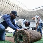 Atlético mostra processo de troca de gramado na Arena MRV: 'Trabalho contínuo'