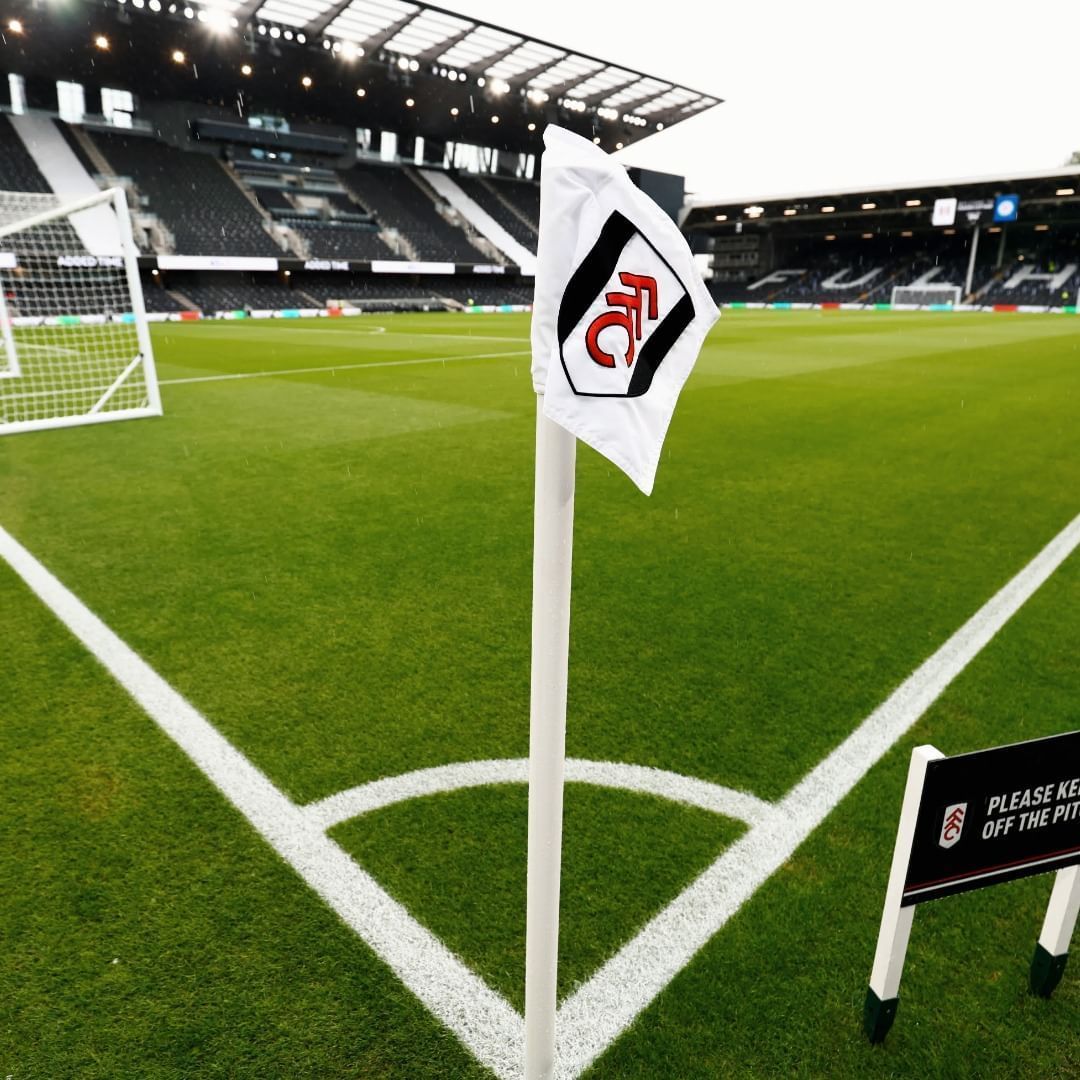 Fulham x Newcastle: horário e onde assistir ao vivo pela Premier League