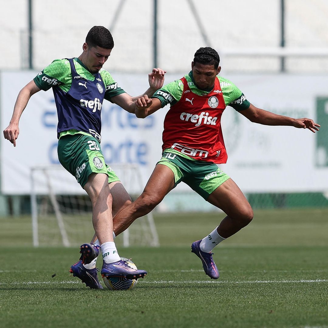 Palmeiras x Criciúma: horário e onde assistir ao vivo pelo Brasileirão