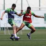 Palmeiras x Criciúma: horário e onde assistir ao vivo pelo Brasileirão