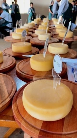 Concurso na cidade do Serro, em MG, irá escolher melhor Queijo Minas de 2024