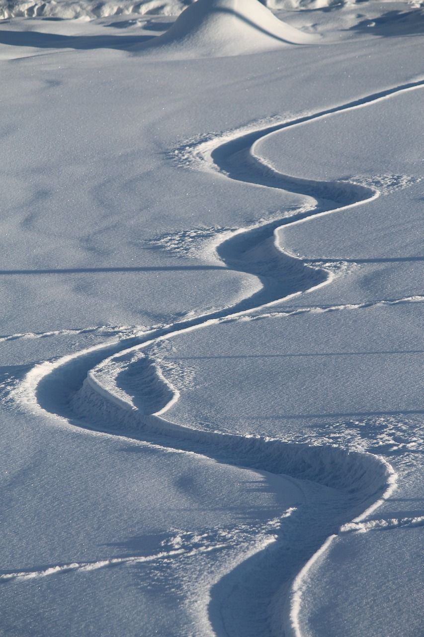 Snowboarder suíça Sophie Hediger morre em avalanche