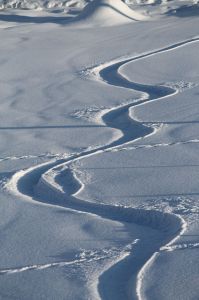 trilha-neve-snowboard.jpg