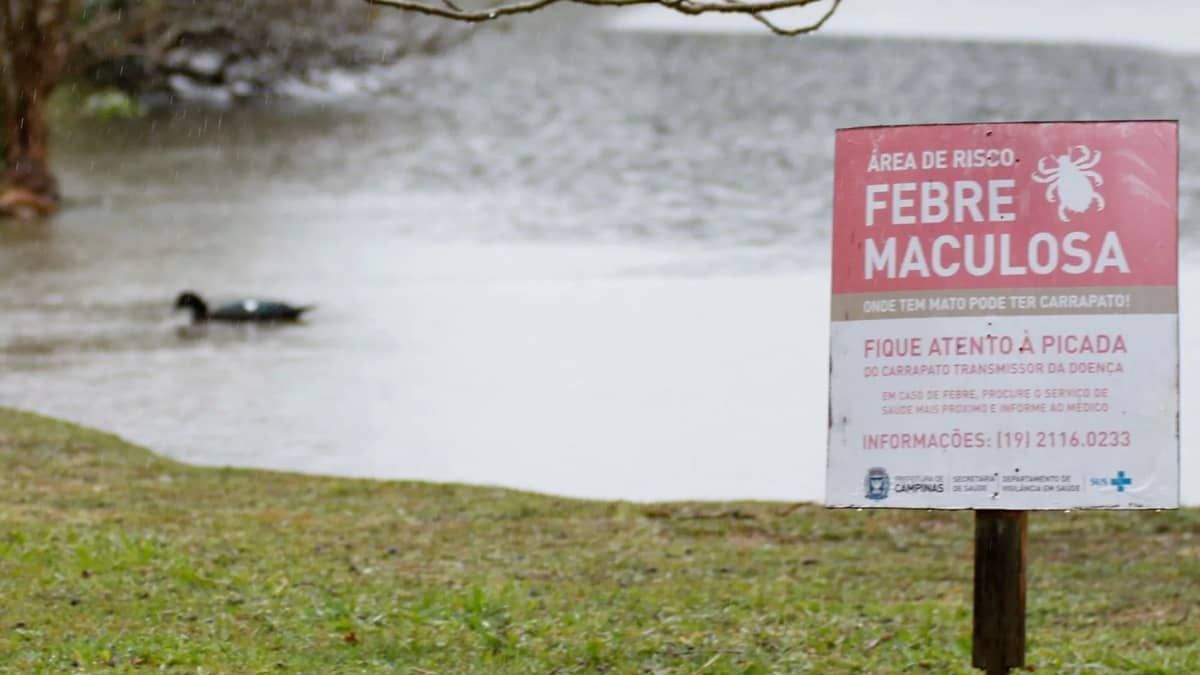 Sobe para cinco o número de casos de febre maculosa em São Paulo