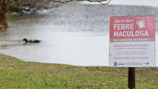 Sobe pra cinco o número de casos de vítimas da febre maculosa em São Paulo