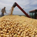 PIB de Minas Gerais soma R$ 305 bilhões impulsionado pelo agro