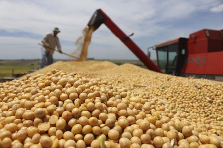 Safra da soja impulsionou o agro no segundo trimestre de 2025