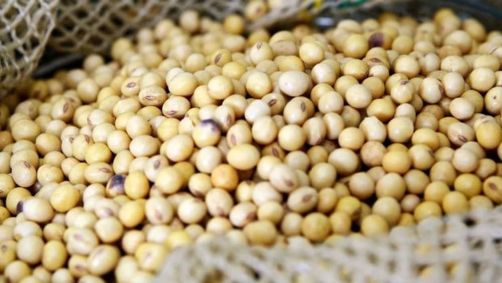 Soja é um dos produtos que pautam relação comercial entre Minas e a China
