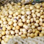 Mais de um terço das vendas do Brasil para a China saem de Minas; minérios e soja 'puxam' estatística