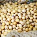 Mais de um terço das vendas do Brasil para a China saem de Minas; minérios e soja 'puxam' estatística