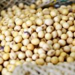 Mais de um terço das vendas do Brasil para a China saem de Minas; minérios e soja 'puxam' estatística
