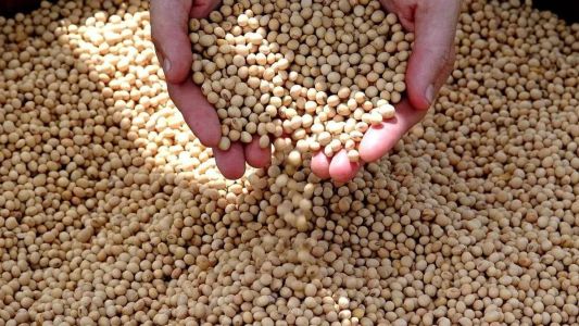 A Argentina é um dos maiores exportadores mundiais de grãos, farinhas e óleos de soja