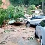 Temporais: voluntários fazem mutirão de limpeza e distribuem doações