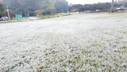 Policiais e seguranças do clube tentaram conter os invasores, mas não conseguiram e o treino desta manhã teve que ser paralisado.