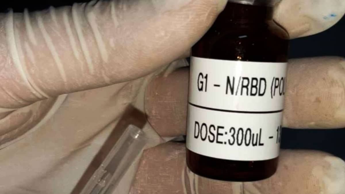Covid-19: vacina brasileira contra a doença tem bons resultados em testes