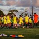 Sport x Avaí: veja prováveis escalações para duelo pela Série B