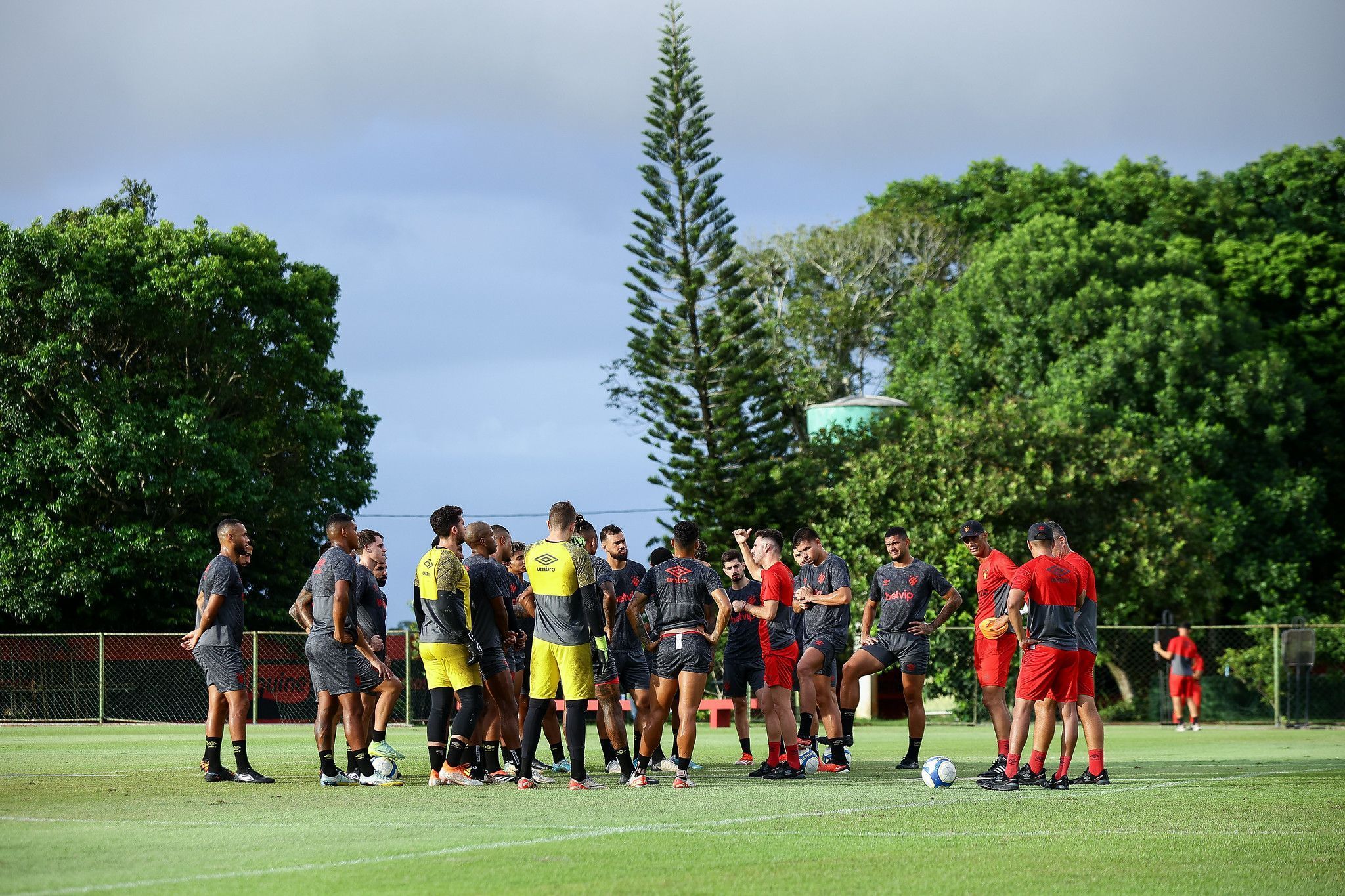 Duelo de Leões! Sport recebe Avaí para tentar retomar liderança da Série B