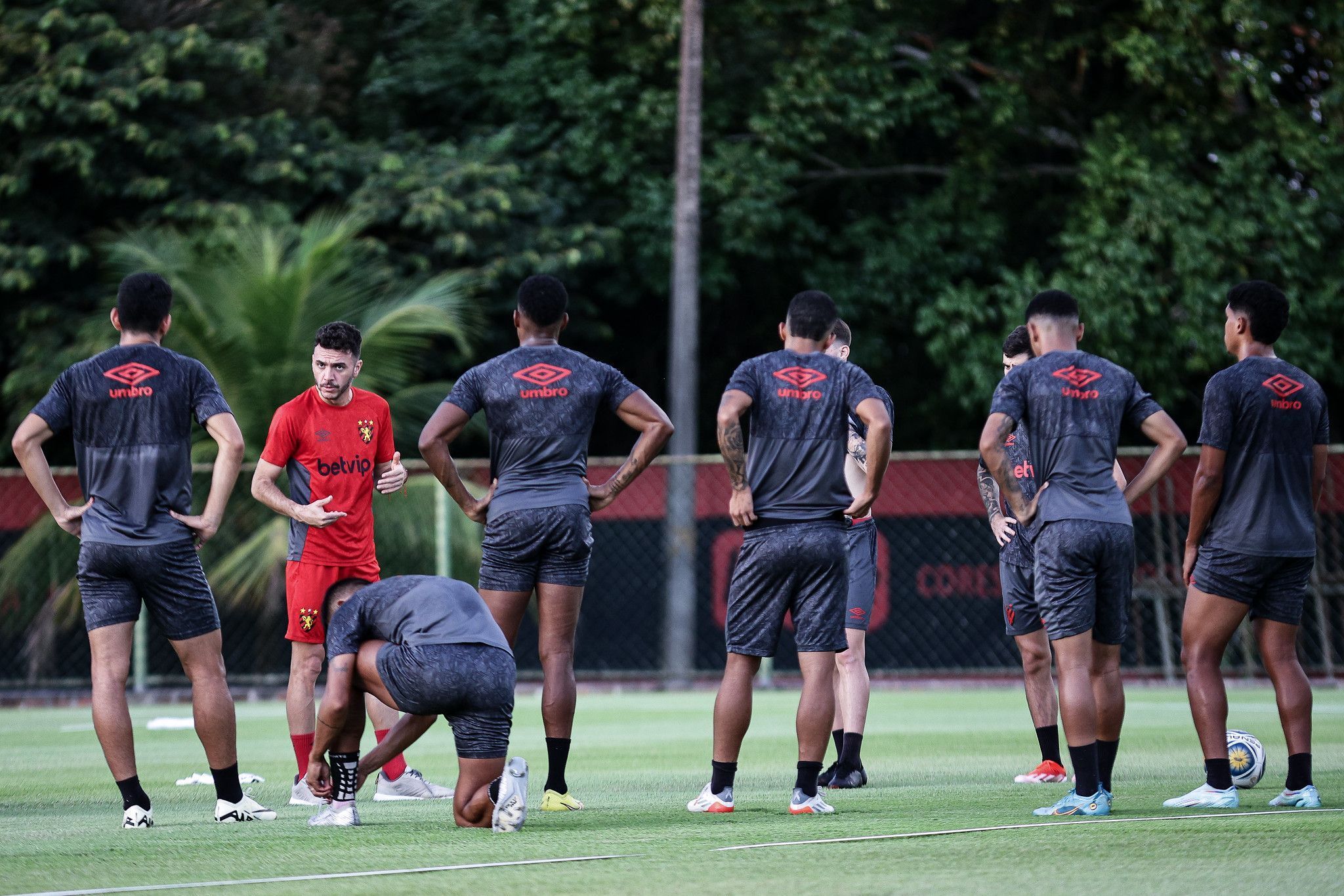 Sport x Ceará: veja prováveis times para quartas de final da Copa do Nordeste