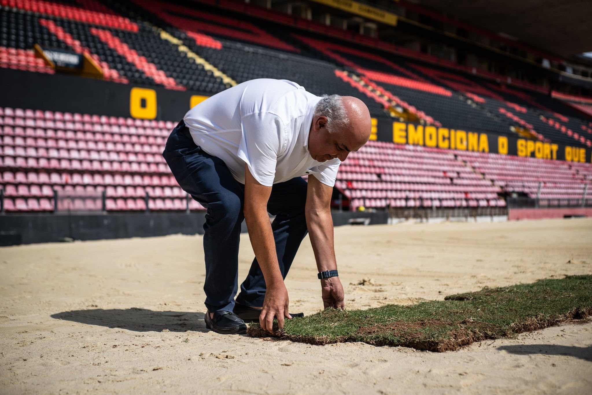 Sport inicia plantio de novo gramado da Ilha do Retiro; veja fotos