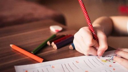 STF fixou a tese de que não existe direito público subjetivo do aluno ou de sua família ao ensino domiciliar, inexistente na legislação brasileira