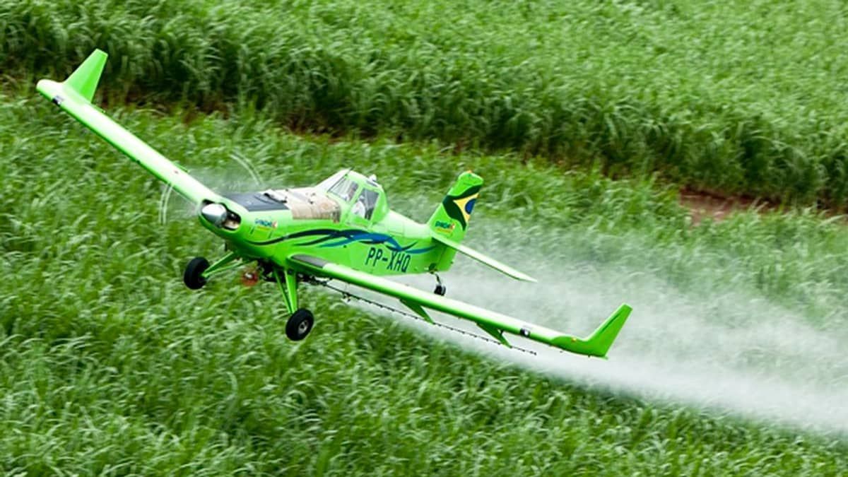STF forma maioria para anular trechos de decreto sobre agrotóxicos editado por Bolsonaro