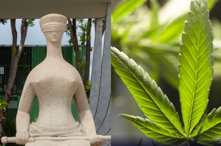 STF fixa limite de 40 gramas de maconha para diferenciar usuário de traficante