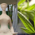 STF fixa limite de 40 gramas de maconha para diferenciar usuário de traficante