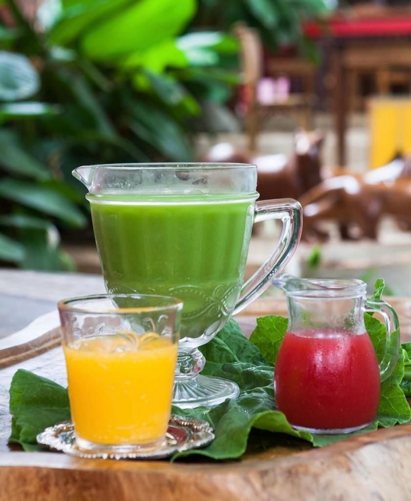 Suco verde: conheça a receita do famoso suco de uma das melhores pousadas de MG