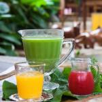 Suco verde: conheça a receita do famoso suco de uma das melhores pousadas de MG