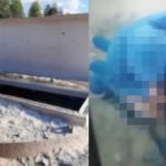 Jovem acusado de matar ex grávida em Minas e jogar corpo em forno de cal se torna réu