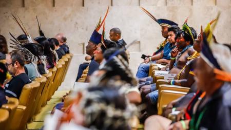Supremo Tribunal Federal (STF) derrubou tese jurídica do marco temporal para territórios indígenas