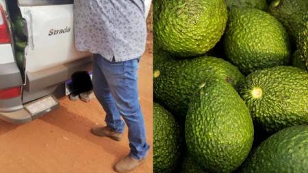 Suspeito deixou prejuízo de R$ 60 mil