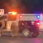 Vídeo: homem nu rouba viatura na noite de Halloween em Las Vegas e sofre acidente