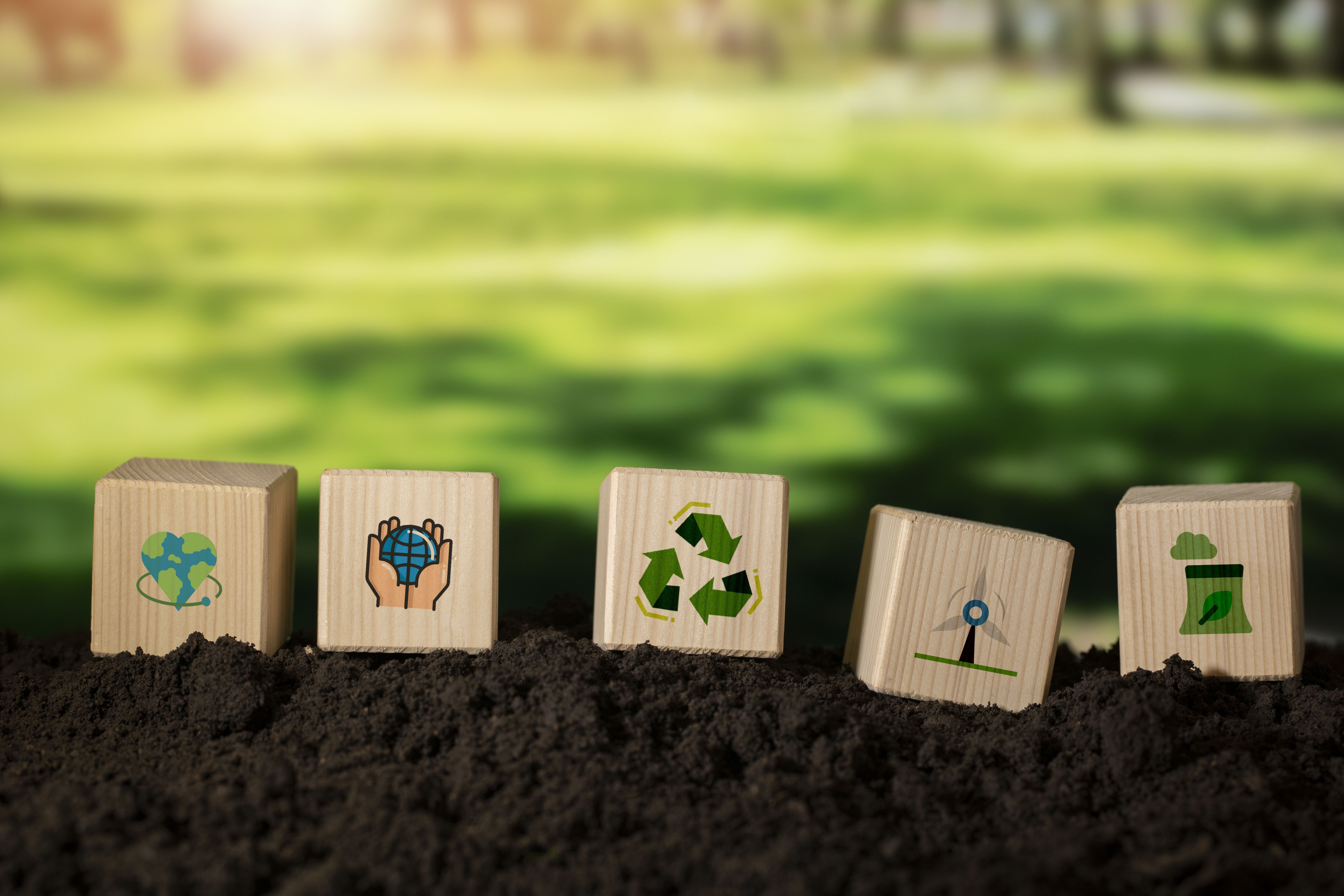O impacto ambiental