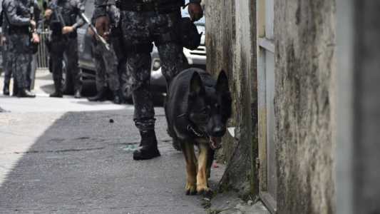 Tanke, o cão farejador que ajudou a encontrar uma casa de refino de drogas na zona sul de SP