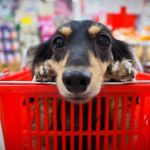 Tarcísio veta projeto que impediria venda de animais em pet shops em SP 