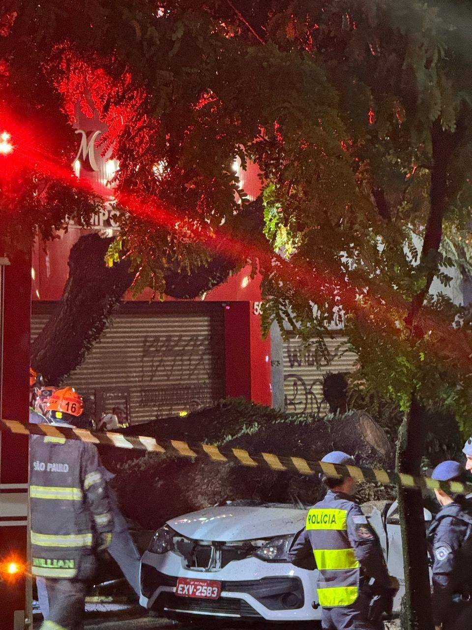 Motorista de taxi morre após árvore cair sobre o carro durante as chuva em SP