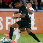 Com milagre de Perri, Botafogo resiste e empata com a LDU na altitude de Quito